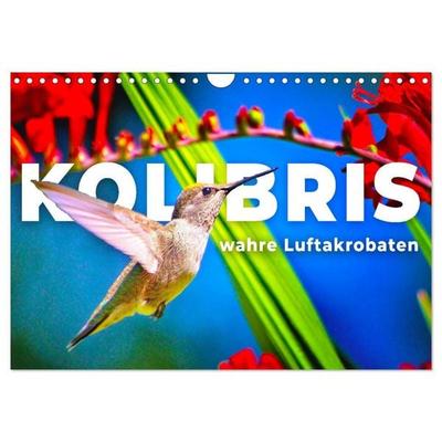 Kolibris - wahre Luftakrobaten (Wandkalender 2027 DIN A4 quer), CALVENDO Monatskalender