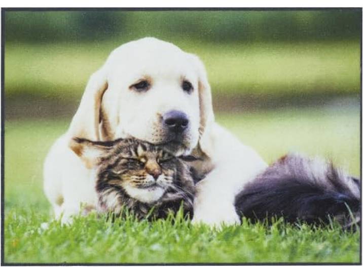 andiamo Fußmatte Verona - Innenbereich 100% Polyamid - TPR Rücken - 40 x 60 cm Hund & Katze