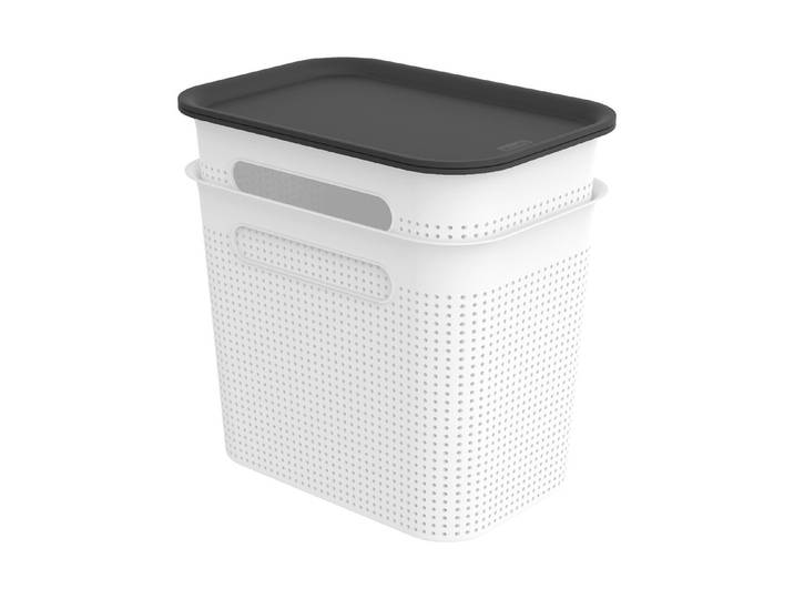 Rotho 2er-Set Box mit Deckel Brisen 7 l
