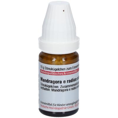 Mandragora E radice siccata D 6 Globuli 10 g