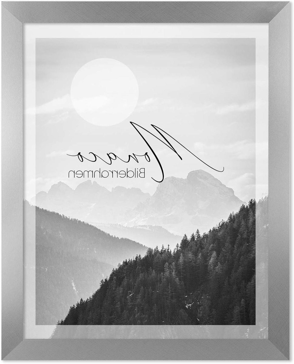 Fotolijst Monaco Posterlijst Wandlijst Geborsteld Aluminium Look 40x55 cm