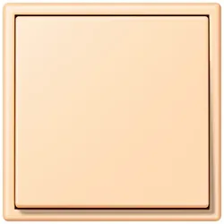 Jung Präsentbox LC 32060 LC-BOX 223