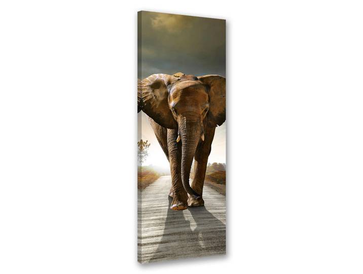 Feeby Wandbild elefant auf der straße, Braun, Tiere, Rechteckig, 30x90 cm, Bilder & Rahmen, Bilder, Leinwandbilder