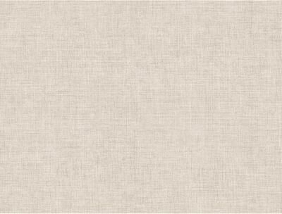 A-Street Prints Alba Beige Open Weave Wallpaper