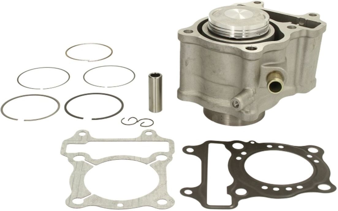 Rms Kit di riparazione, pistone/fodera del cilindro 10 008 0440