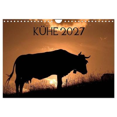 Kühe 2027 (Wandkalender 2027 DIN A4 quer), CALVENDO Monatskalender