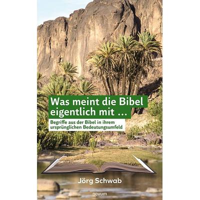 Was meint die Bibel eigentlich mit ..., Gebundene Ausgabe von Jörg Schwab, Novum Verlag ein Imprint von novum publishing GmbH, 978-3-948379-82-7