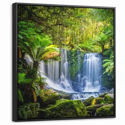 LEINWAND Bilder mit Rahmen - Dschungel - Wasserfall - Australien - Pflanzen - Natur - 50x50