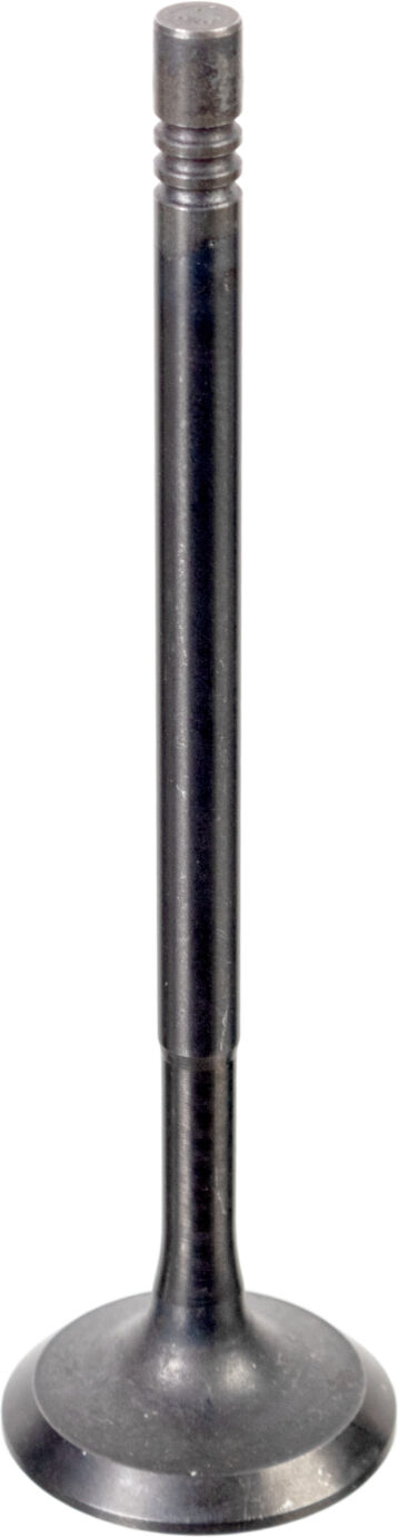 Febi Bilstein Einlassventil 176538 Für Smart Dacia