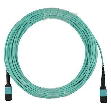 BlueOptics Allied Telesis AT-MTP12-20 kompatibles MTP-MTP Multimode OM3 Patchkabel 20 Meter (20 m) (AT-MTP12-20-BO)