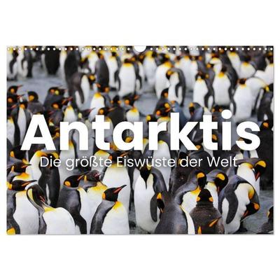 Antarktis - Die größte Eiswüste der Welt. (Wandkalender 2026 DIN A3 quer), CALVENDO Monatskalender