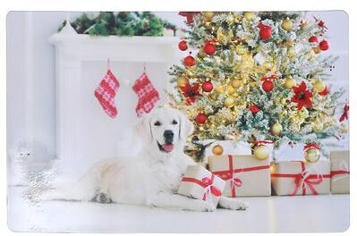 IH Casa Decor Plastic Placemat Dog With Present - Set of 12