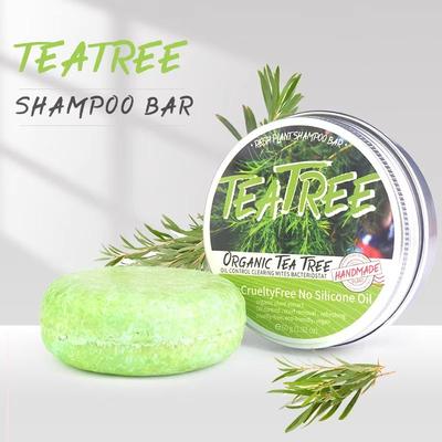 Inspired Finds Purify & Balance Tea Tree Oil Plant Shampoo Refreshing Scalp & Stronger Hair Purify & Balance Tea Tree Oil Plant Shampoo Refreshing Scalp & Stronger Hair