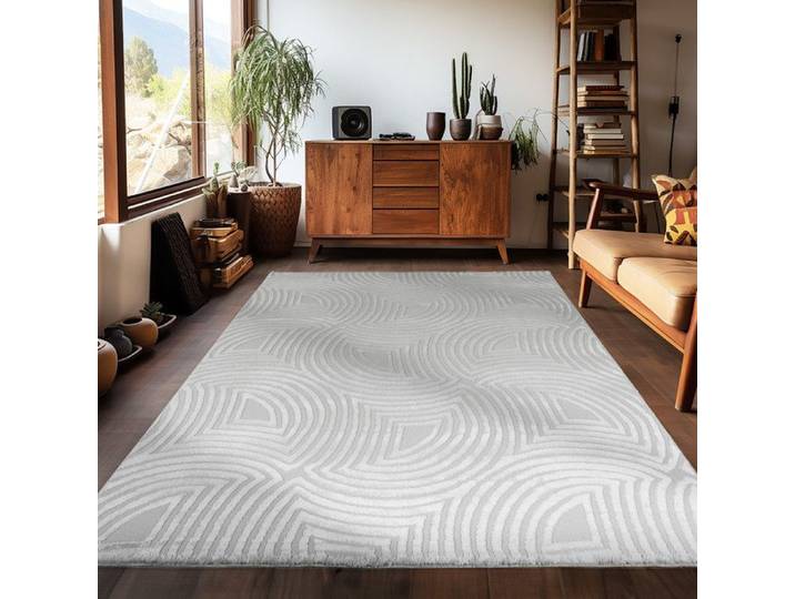 Carpetsale24 Tapis de salon bohème design 120x170 cm Gris uni moderne à poils courts Tapis moelleux pour chambre