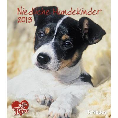 Niedliche Hundekinder 2013