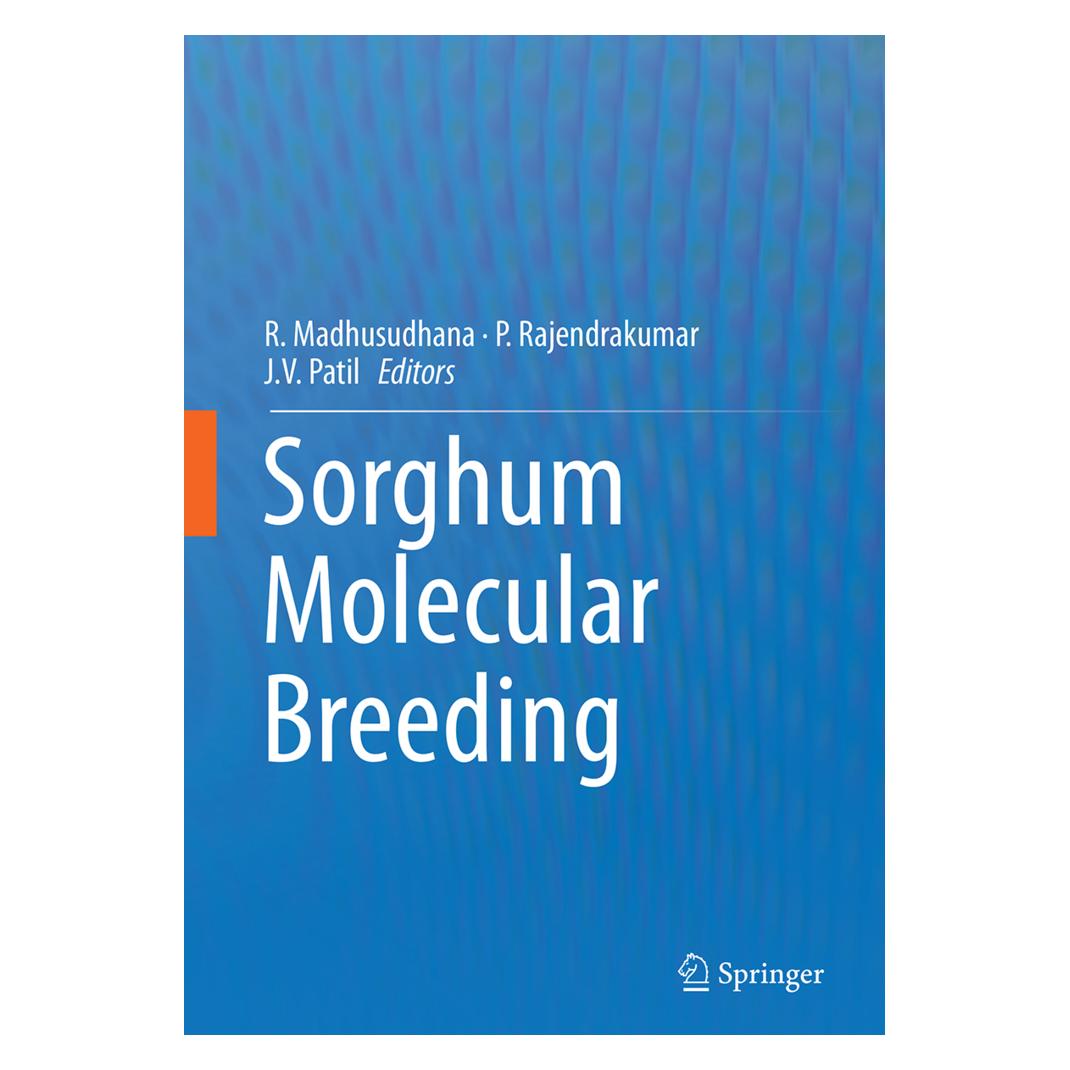 Springer Sorghum Molecular Breeding (Englisch, Softcover, J V Patil, P Rajendrakumar, R Madhusudhana) (55951772)
