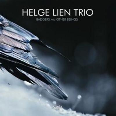 Badgers And Other Beings - Helge Lien Trio, CD