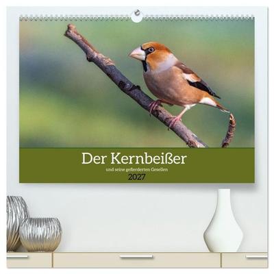 Der Kernbeißer und seine gefiederten Gesellen (hochwertiger Premium Wandkalender 2027 DIN A2 quer), Kunstdruck in Hochglanz