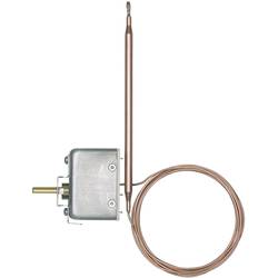 Jumo 60000921 Temperaturregler 0 bis 150 °C Relais 16 A