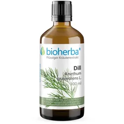 Dill Anethum graveolens L. Tropfen Tinktur 100 ml