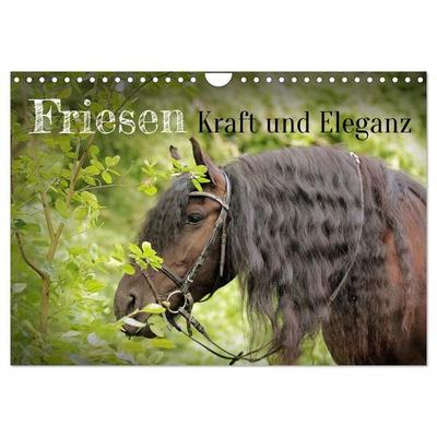 Friesen - Kraft und Eleganz (Wandkalender 2027 DIN A4 quer), CALVENDO Monatskalender