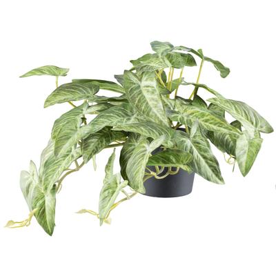 Kunstpflanze CREATIV GREEN "Alocasia", grün (grüncreme), H:40cm Ø:24cm, Kunststoff, Kunstpflanzen, Kunstpflanze, mit naturgetreuem Blattwerk
