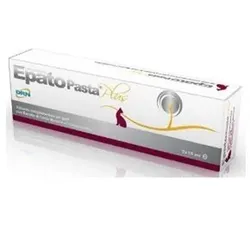 GEULINCX epato Paste plus 2 Spritzen à 15 ml