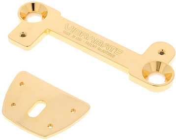 Vibramate V7 for Carved Tops G