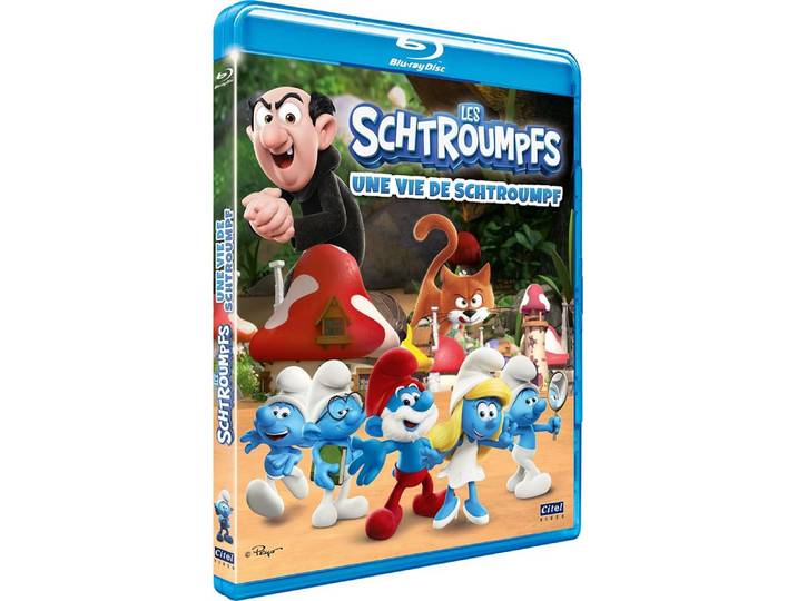 Les Schtroumpfs - Une vie de Schtroumpfs