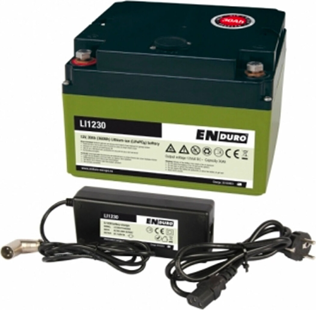 Lithium-Ionen Akku Batterie LI1230 30Ah LiFePO4 mit Ladegerät für Rangierhilfen