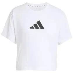 adidas Workout Essentials Big Performance Logo Training T-Shirt D