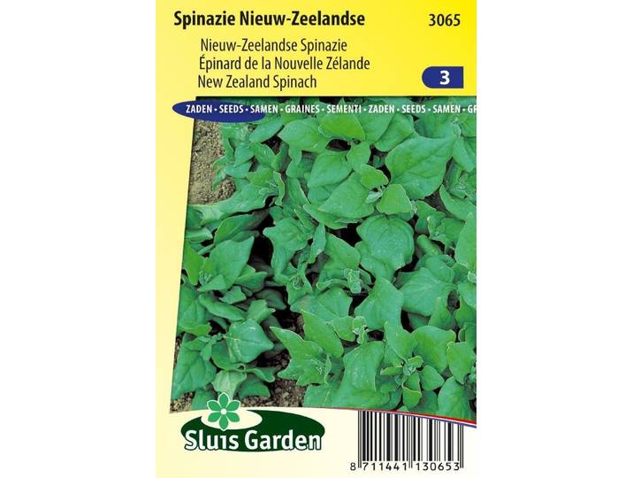 Spinazie zaden Nieuw Zeelandse