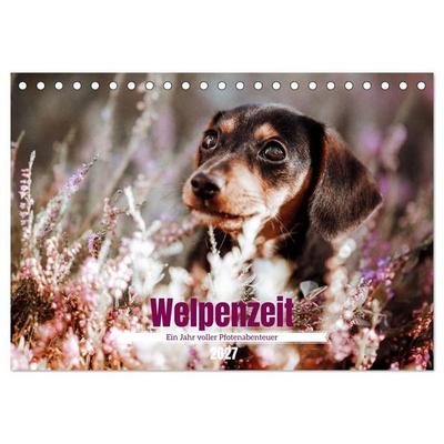 Welpenzeit - Ein Jahr voller spannender Pfotenabenteuer (Tischkalender 2027 DIN A5 quer), CALVENDO Monatskalender