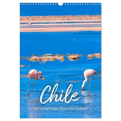 Chile - Ein unentdecktes Paradies. (Wandkalender 2026 DIN A3 hoch), CALVENDO Monatskalender