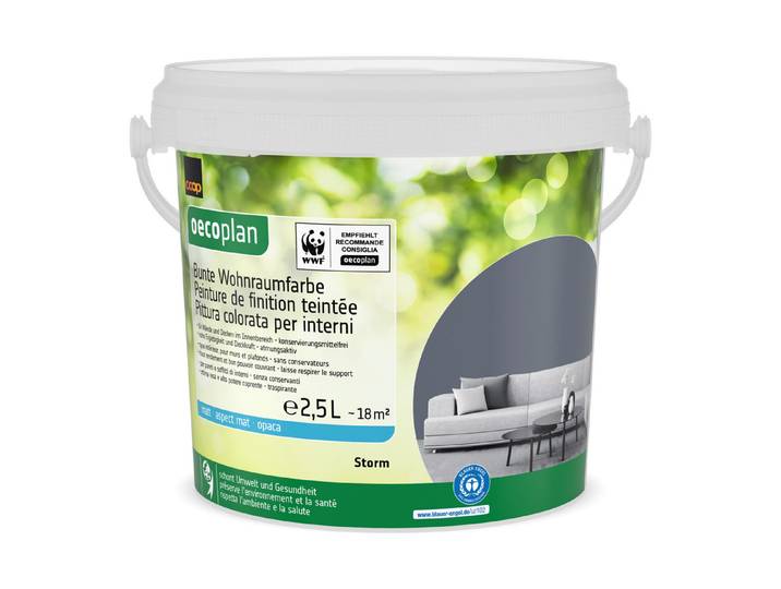 Bunte Wohnraumfarbe Storm 2.5L
