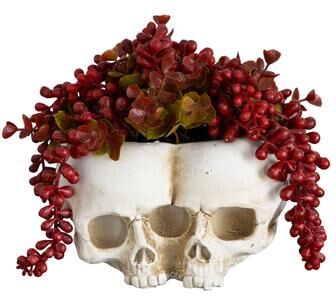 Nearly Natural 6-in Artificial Halloween String of Pearls in Double Skull Planter