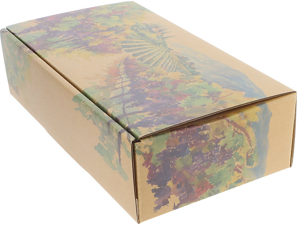 kaiserkraft Flaschen-Geschenkkarton VINEA, für 2 Flaschen, natur, ab 10 Stk