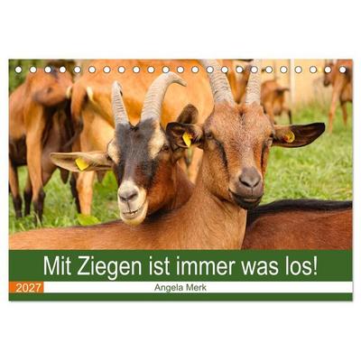 Mit Ziegen ist immer was los! (Tischkalender 2027 DIN A5 quer), CALVENDO Monatskalender