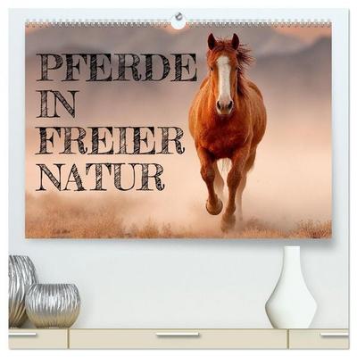 Pferde in freier Natur (hochwertiger Premium Wandkalender 2026 DIN A2 quer), Kunstdruck in Hochglanz