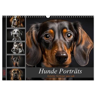 Hunde Porträts (Wandkalender 2027 DIN A3 quer), CALVENDO Monatskalender