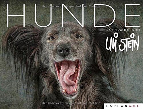 Uli Stein - Hunde - Preis vom 19.10.2026 19:33:35 h