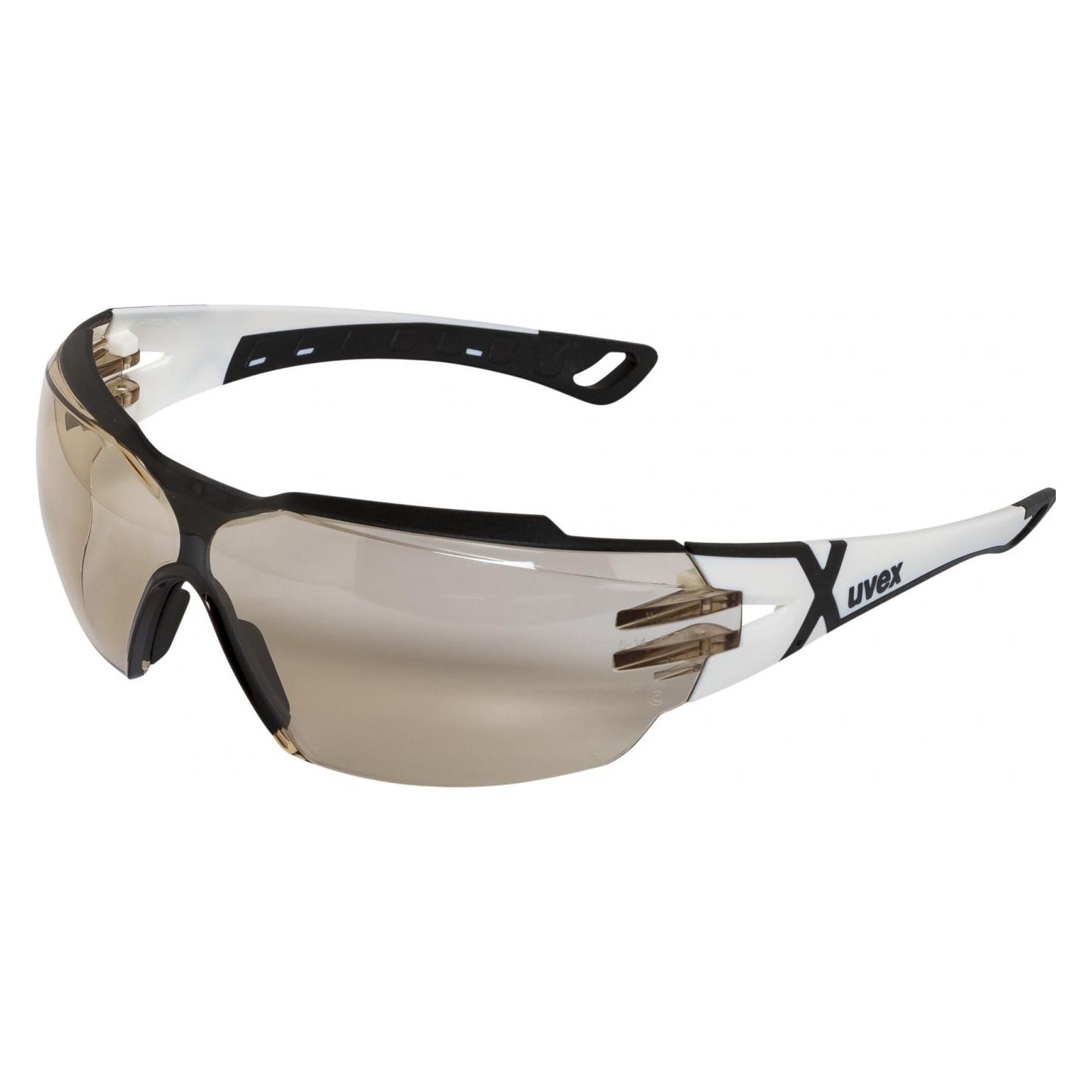 Uvex pheos cx2 Schutzbrille (9198064)