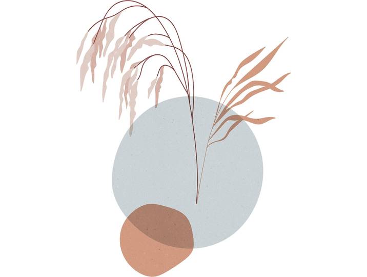 Bild KOMAR Bohemian Reedbeds , beige (farbe bild(er): pastell), B:50cm H:70cm, Holz, Papier, Bilder, Bild, Wandbild zur Dekoration - ohne Rahmen