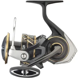 Daiwa 23 CALDIA SW 8000-H (EU) Meeres-Spinnrolle