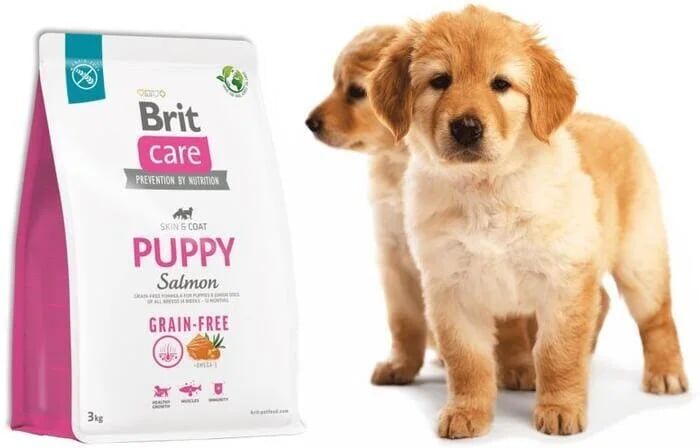 Brit Care Dog Puppy Grain Free Salmão 3 kg