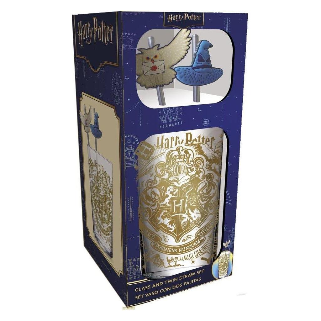 Stor Harry Potter verre tumbler avec pailles Magic & Mayhem 485 ml (STR31019)