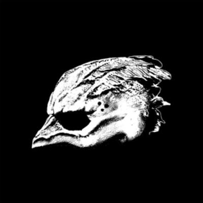 Legend Of The Seagullmen - Legend Of The Seagullmen, Vinyl
