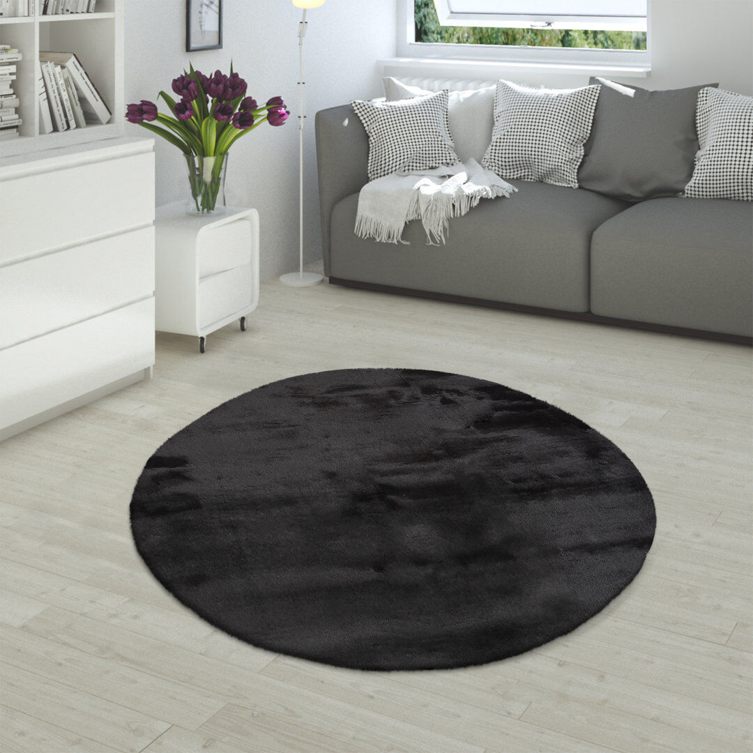 Canora Grey Thrapst Shag Black Round 200cm