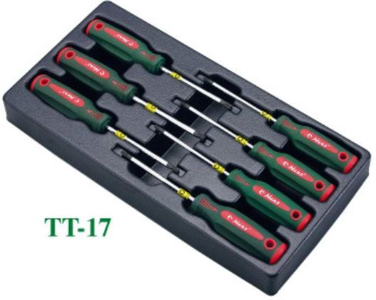 Werkzeugwagen-Einsatz HANS TT-17