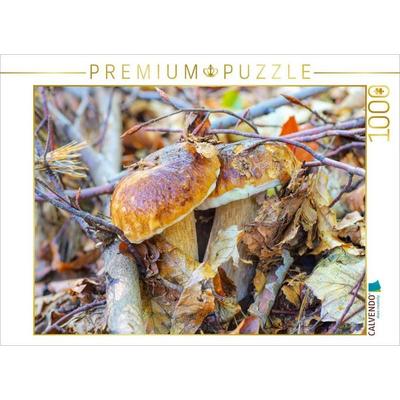 CALVENDO Puzzle Steinpilz | 1000 Teile Lege-Größe 64x48cm Foto-Puzzle für glückliche Stunden